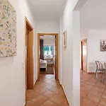 T2 D Amendoeira